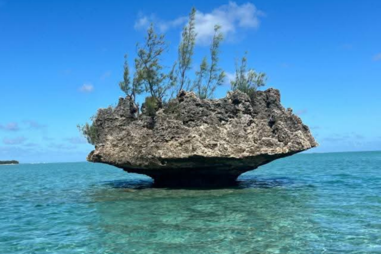 snorkeling with dolphins and crystal rock mauritius