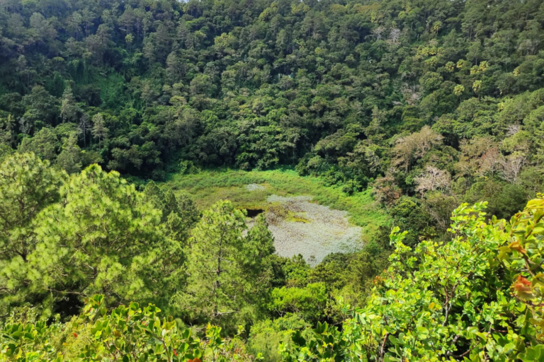 south tour - land tour