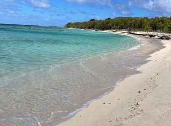 FB_IMG_1754913525045