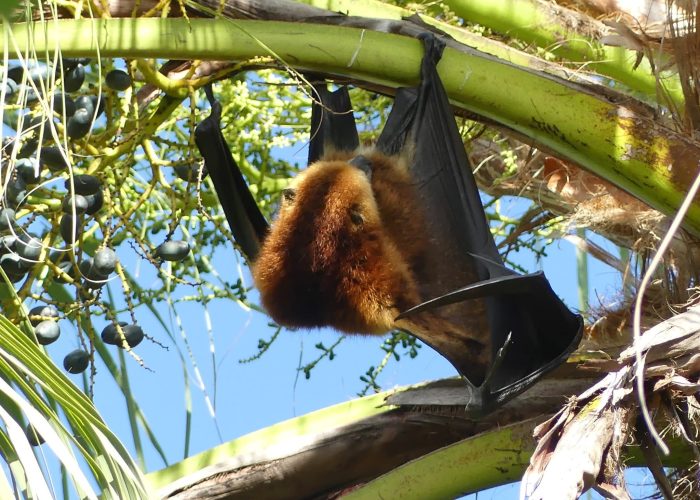 FB_IMG_1758532378020