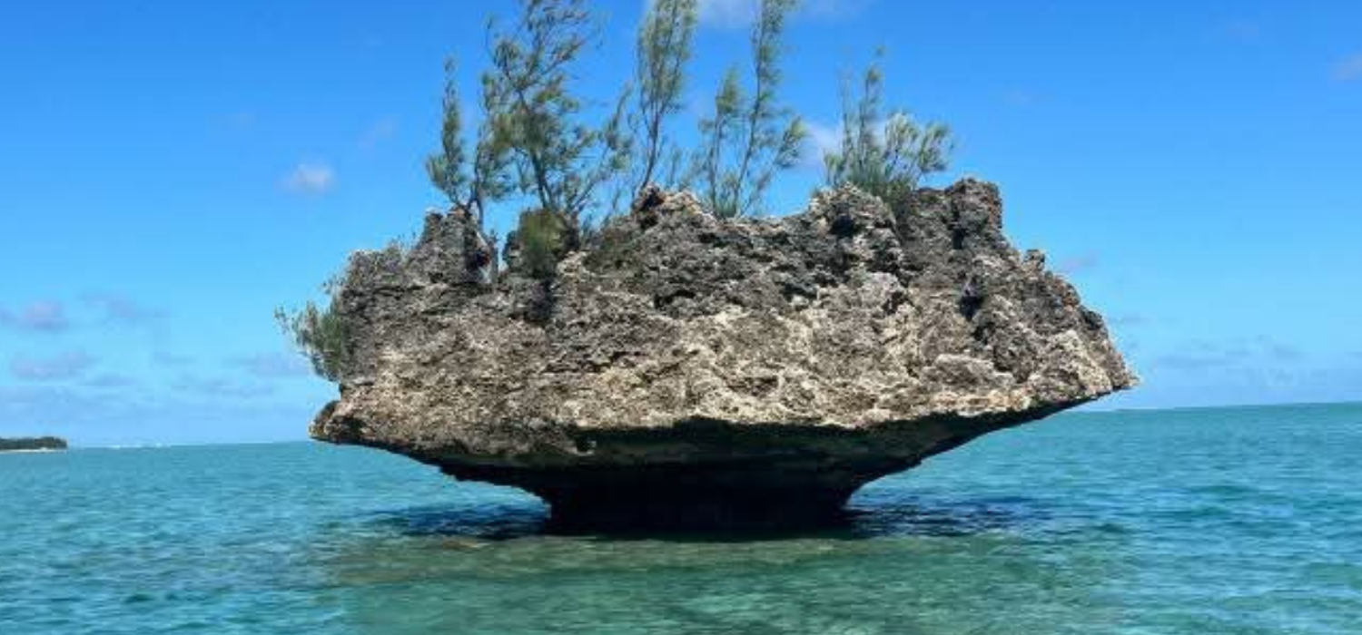 snorkeling with dolphins and crystal rock mauritius